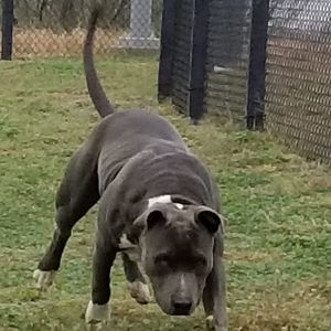 Meet your Posher, Jesse